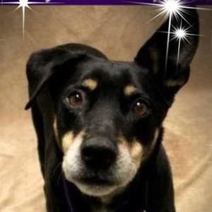 Meet your Posher, Joanne